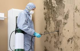 Suisun City, CA Mold Removal Services Company